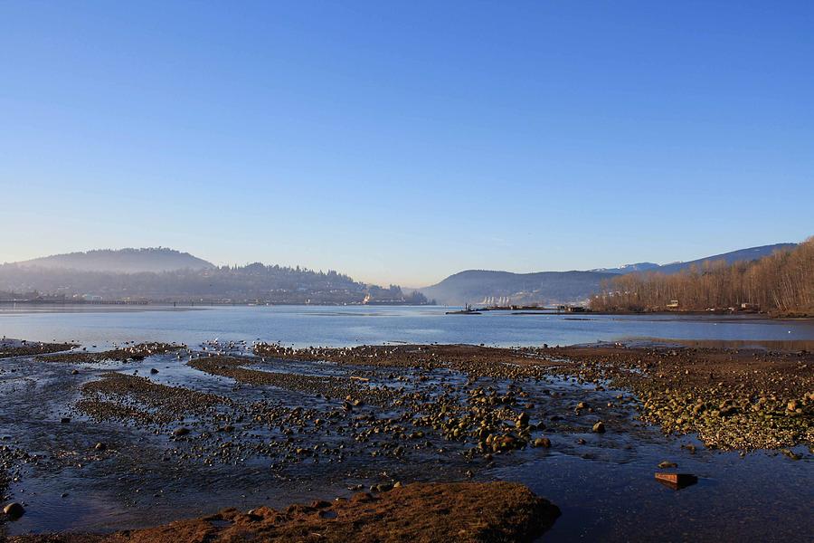 portmoody2 by Stefan Kaertner portmoody2 by Stefan Kaertner
