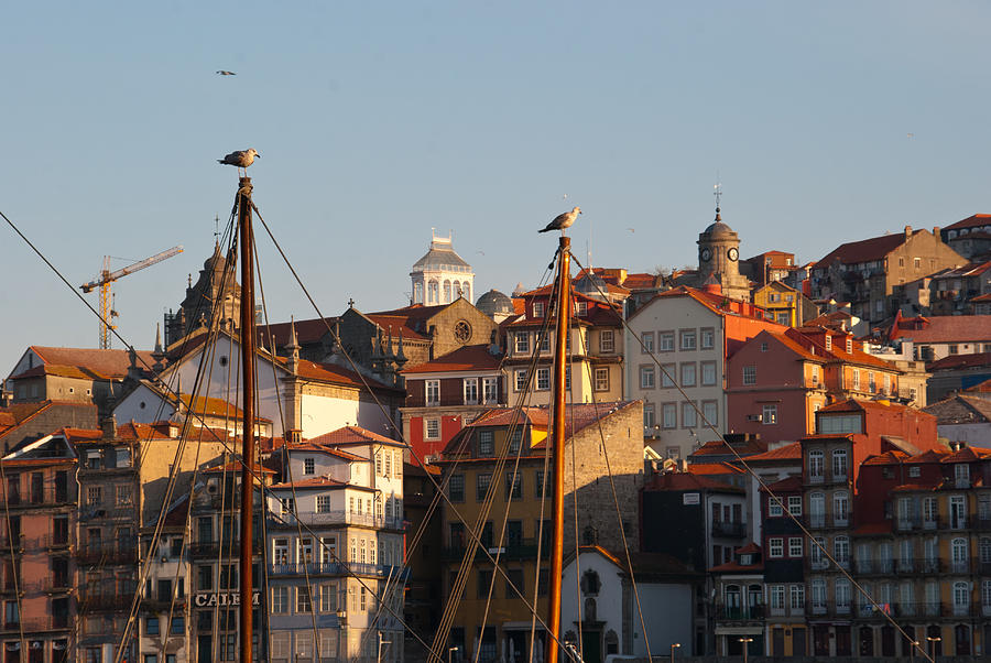 Porto Portugal Photograph by Cascade Colors