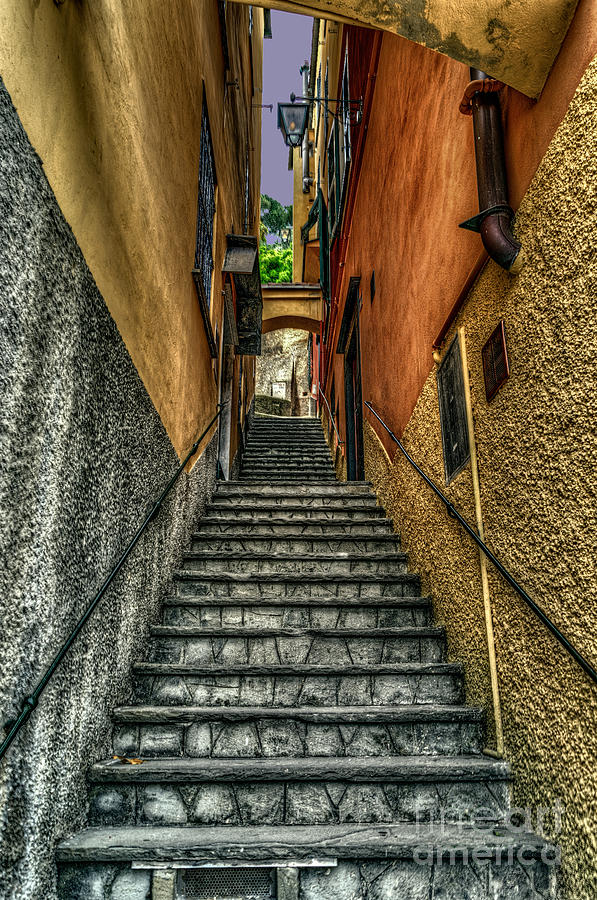 Portofino steps Photograph by Izet Kapetanovic