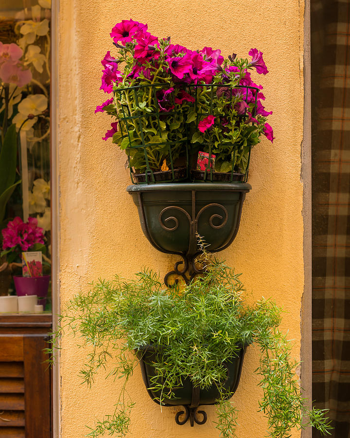 Portovenere Flower Shop Wall Photograph By Ken Nelson - Fine Art America