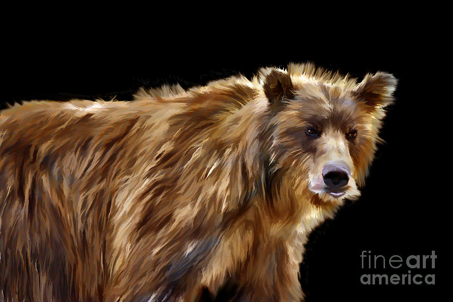 Portrait brown bear Photograph by Dan Friend