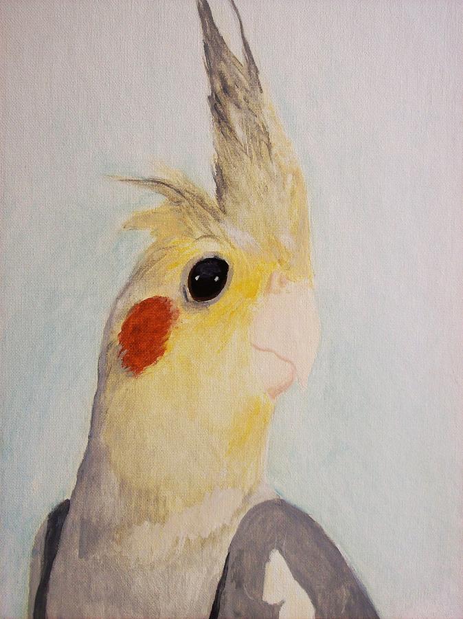 Portrait Of A Cockatiel Painting by Amber Stanford | Fine Art America