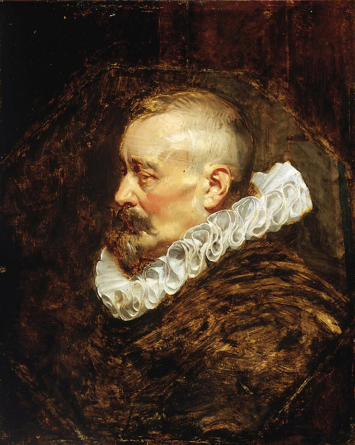 Portrait of a Gentleman possibly Burgomaster Nicholaes Rockox Painting by Peter Paul Rubens