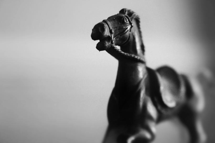 Portrait of a Heroic Horse Photograph by Kelly Hazel