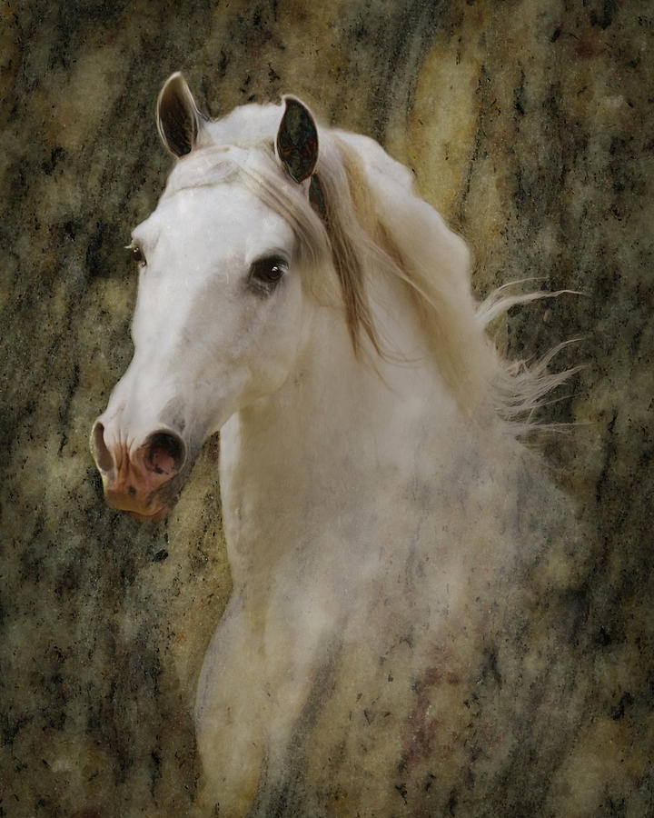 Portrait of a Horse God Photograph by Melinda Hughes-Berland