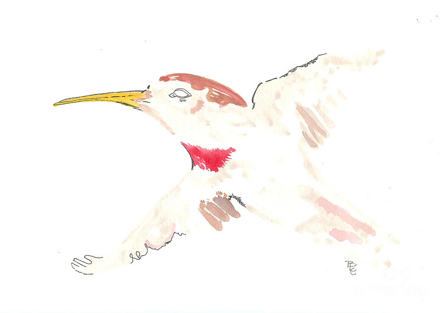 Hummingbird Mixed Media - Portrait of a Hummingbird by Bernadette Crotty