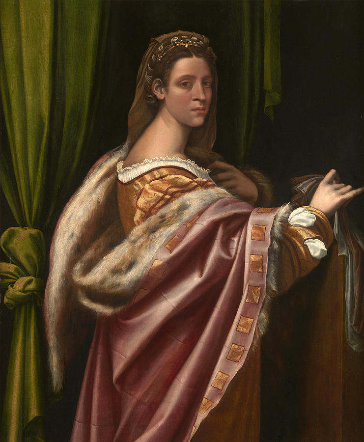Portrait of a Lady Painting by Sebastiano del Piombo Portrait of a Lady Painting by Sebastiano del Piombo