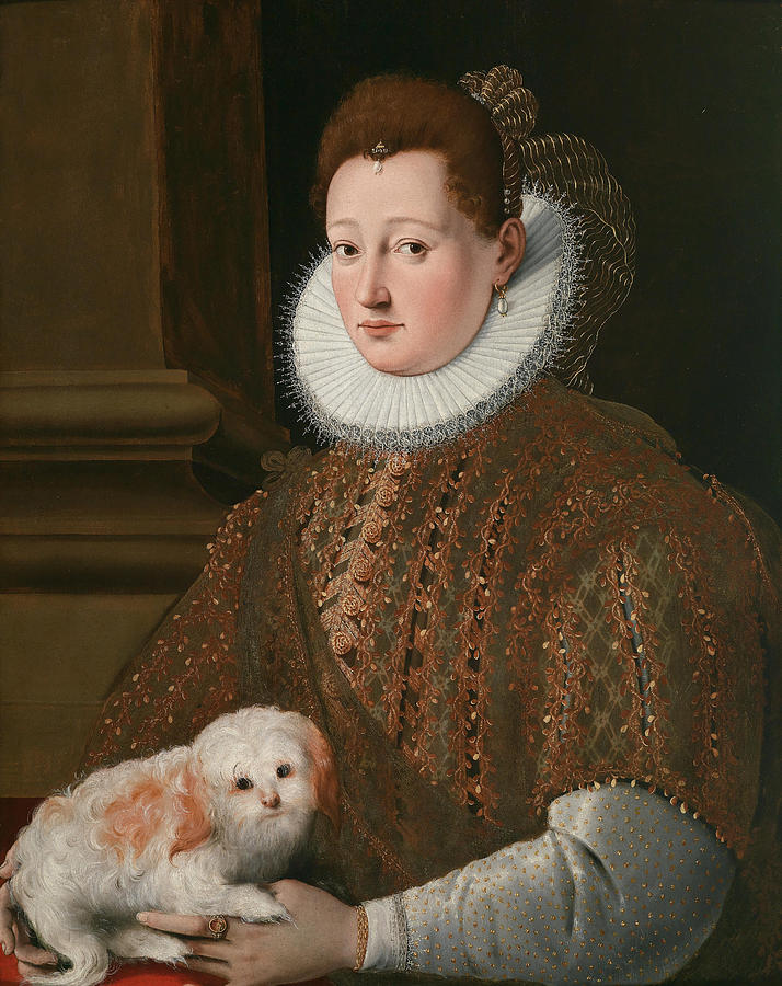 Portrait of a Lady with a Lap Dog Painting by Girolamo Macchietti