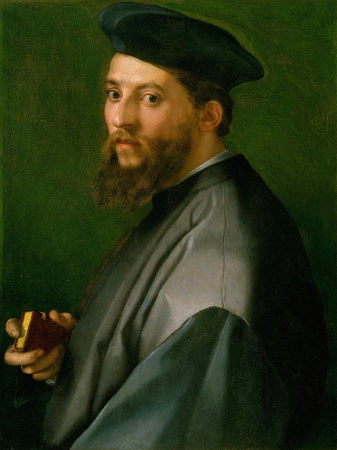 Portrait Painting - Portrait of a Man by Andrea del Sarto