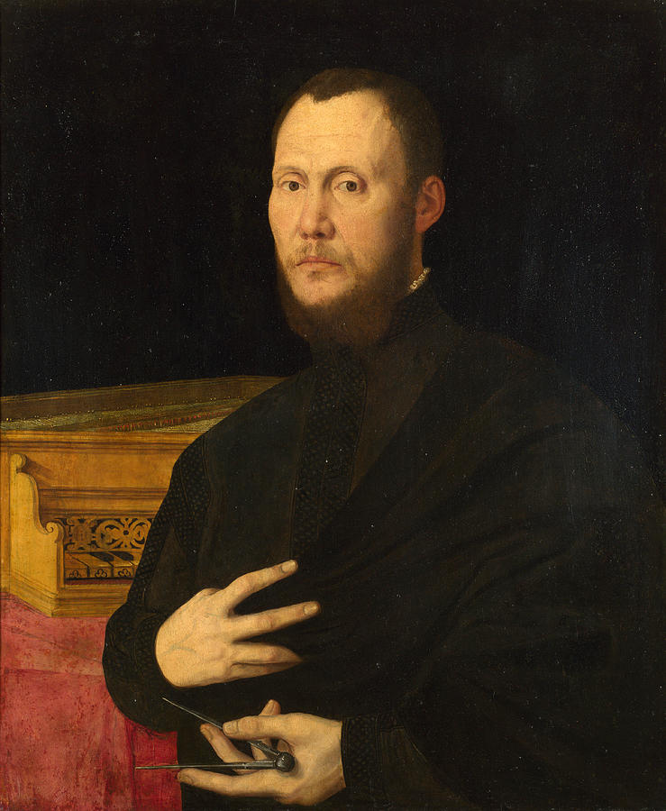 Portrait of a Musician Painting by Bernardino Campi
