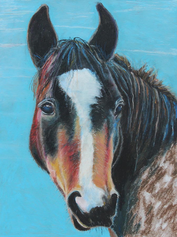 Nature Painting - Portrait of a Wild Horse by Jeanne Fischer