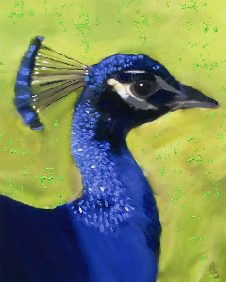 Portrait of a Peacock Painting by Deborah Boyd
