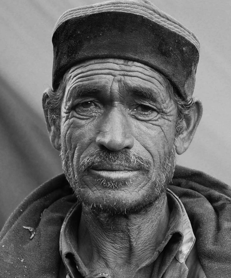 Portrait of a Shepard Photograph by Kedar Munshi - Fine Art America