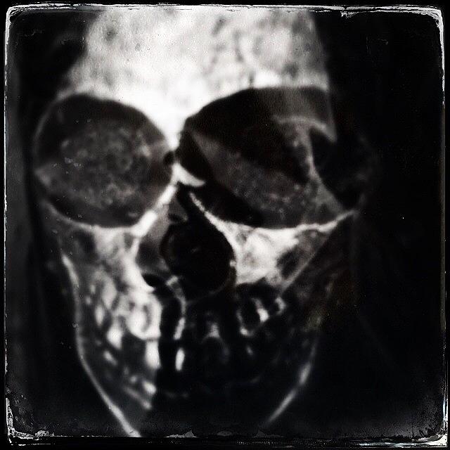 Halloween Photograph - Portrait Of A #skull #spooky #halloween by Jan Pan