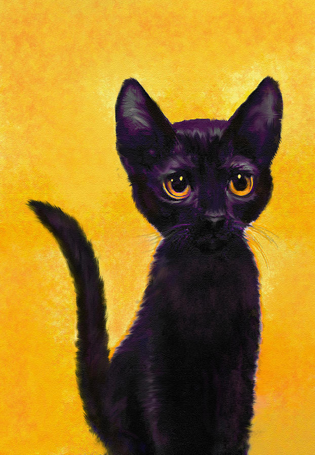 portrait of a small black cat named  LuLu Digital Art by Jane Schnetlage
