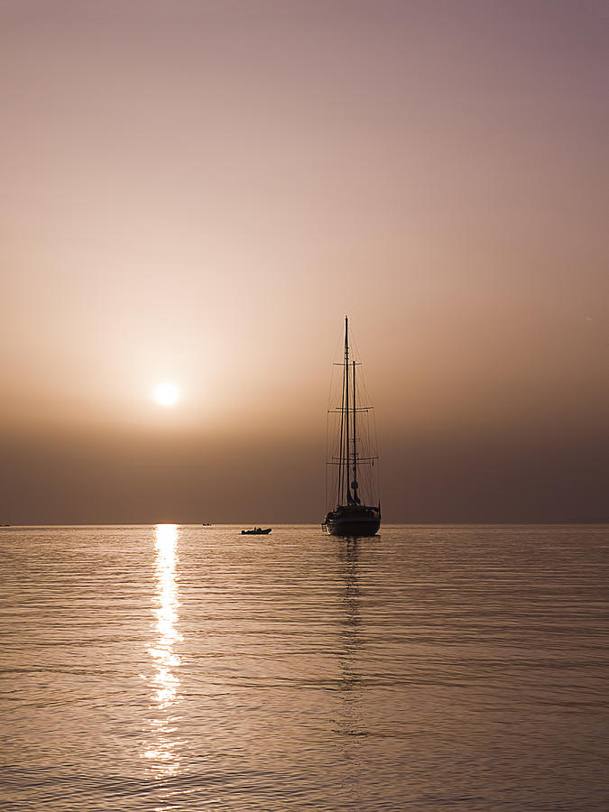 Portrait of a sunset sail Photograph by Brenda Kean