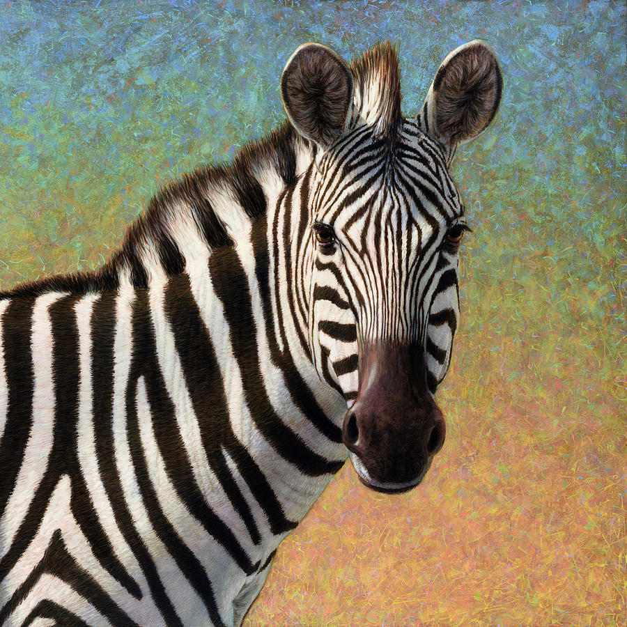 Portrait of a Zebra - Square Painting by James W Johnson