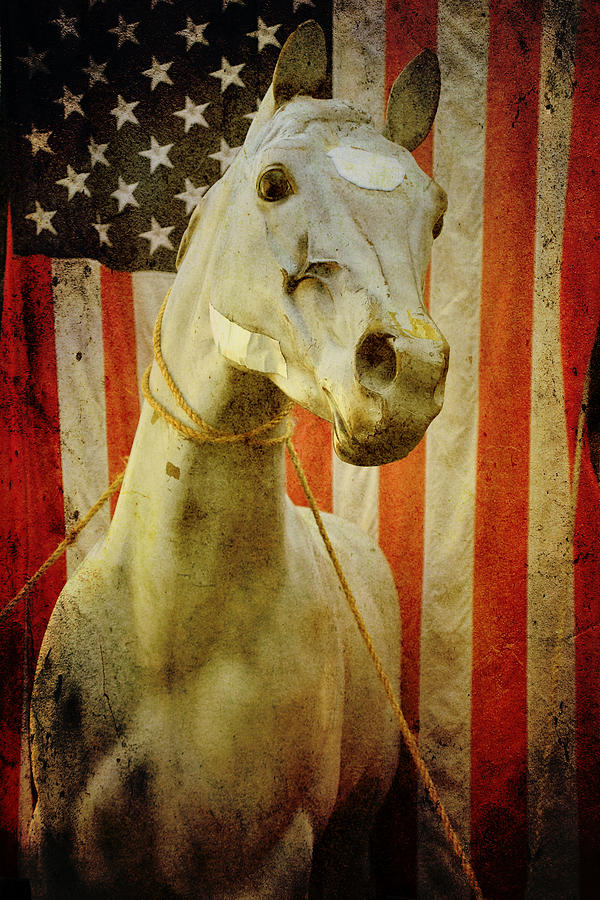 American Flag Photograph - Portrait of an American Horse by Sharon Kalstek-Coty