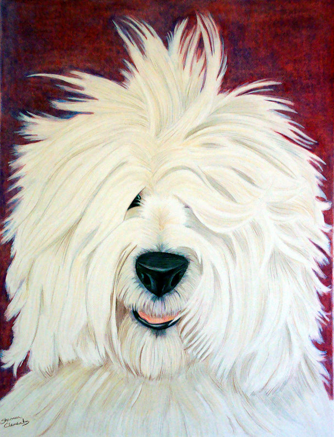 old english sheepdog drawing