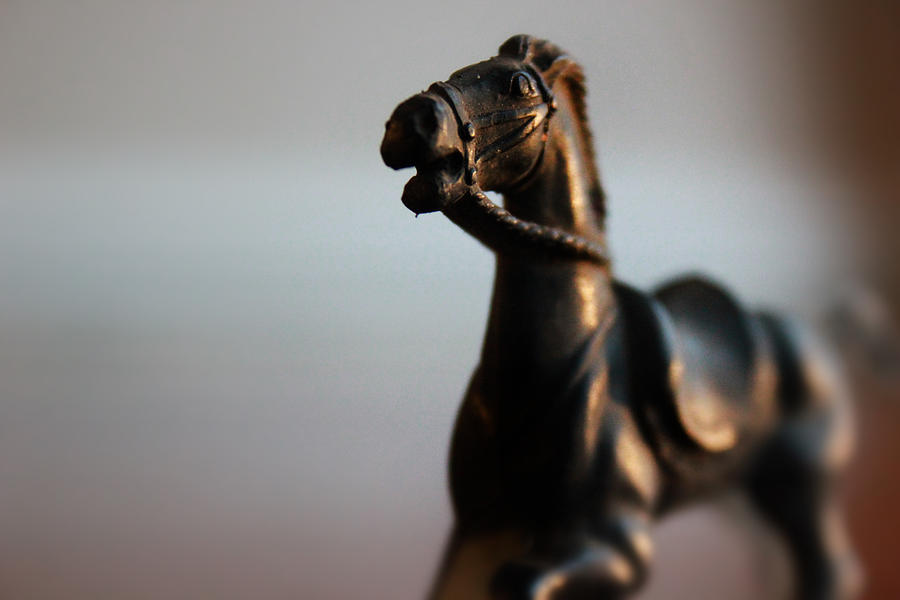 Portrait of an Heroic Horse in Bronze Photograph by Kelly Hazel