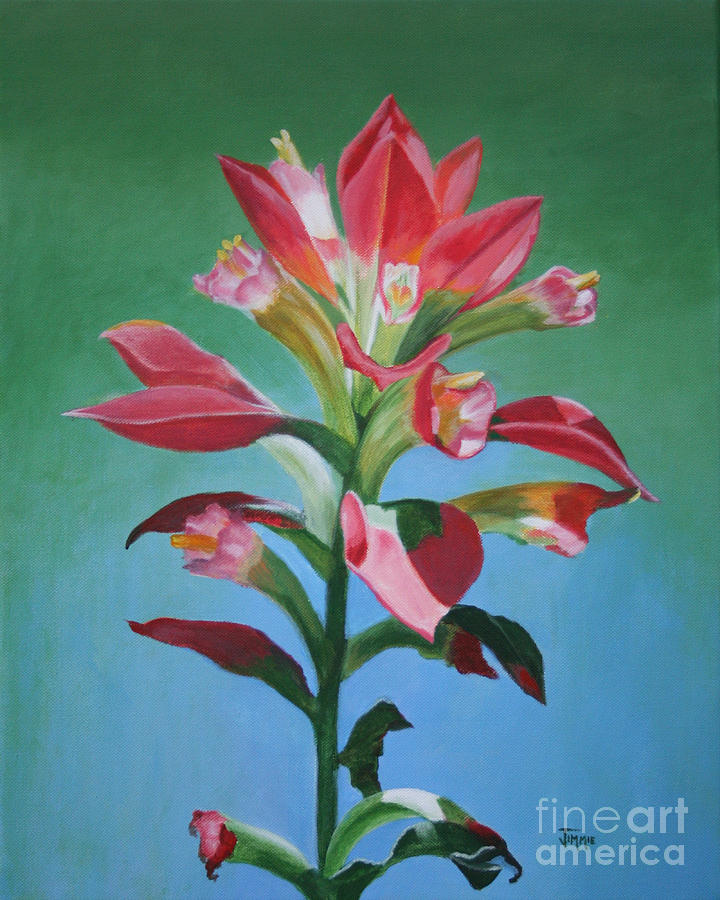 Portrait of an Indian Paintbrush Painting by Jimmie Bartlett