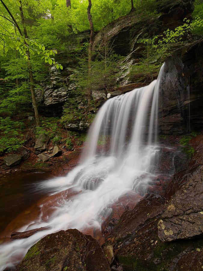 Portrait of B. Reynolds Falls Photograph by Tim Devine - Fine Art America