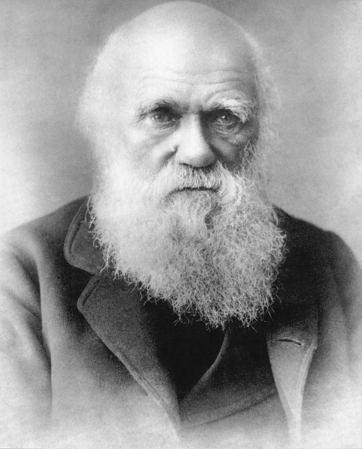 Portrait Of Charles Darwin Photograph by Underwood Archives - Fine Art ...