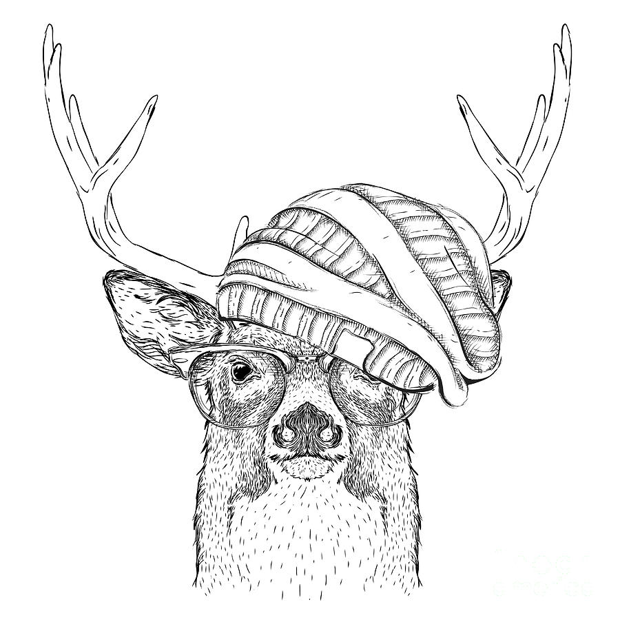 Deer Digital Art - Portrait Of Deer In A Hat. Vector by Sunny Whale Deer Digital Art - Portrait Of Deer In A Hat. Vector by Sunny Whale