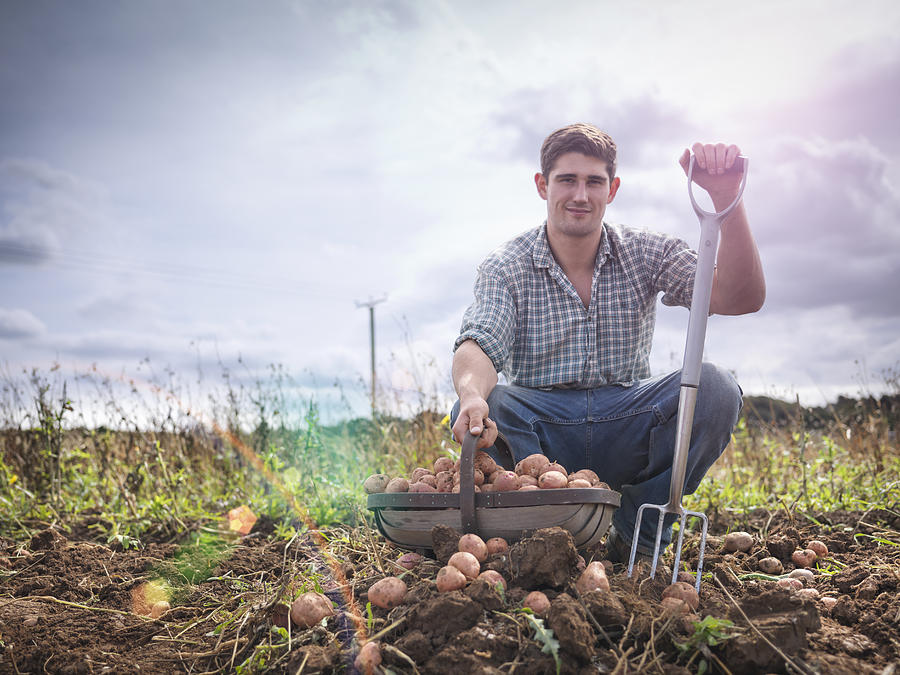 Portrait of farmer with basket of organic potatoes Photograph by Monty Rakusen