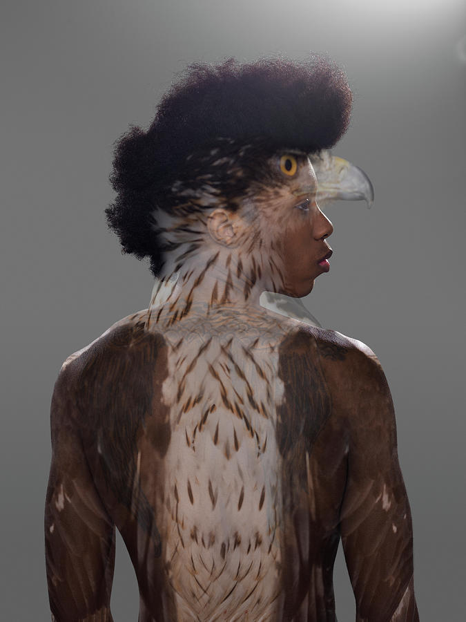 Portrait Of Man With Eagle Overlay On Photograph by Nisian Hughes