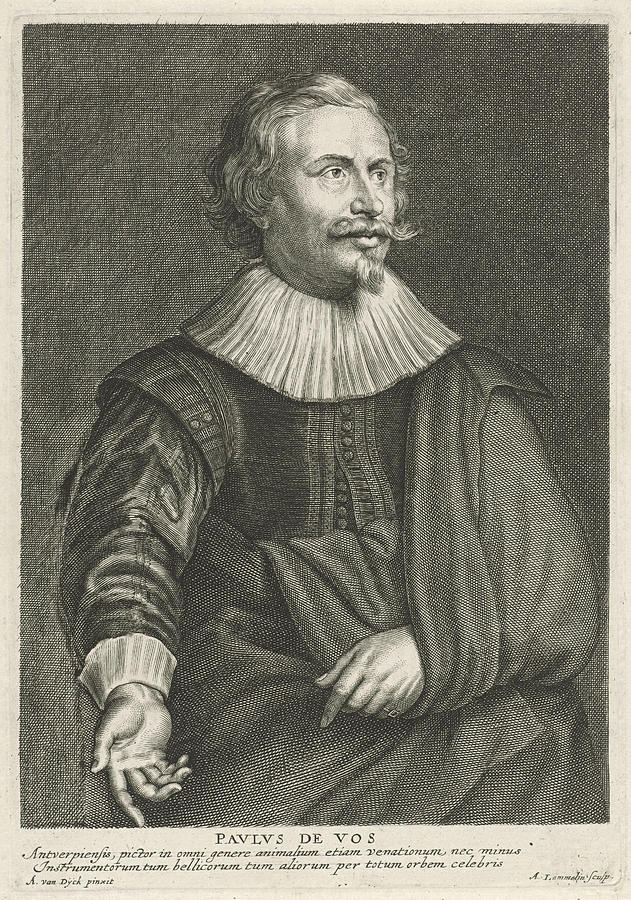 Portrait Of Paul De Vos, Adriaen Lommelin Drawing By Quint Lox - Fine 