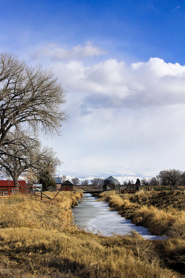 Portrait of Rural Colorado Photograph by Marta Alfred