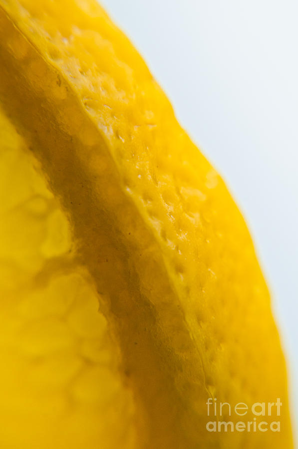 Portrait of the Edge of a Lemon Photograph by Cheryl Baxter