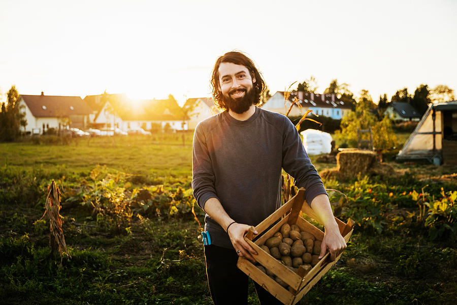 Portrait Of Urban Farmer Holding Crate Of Potatoes Photograph by Tom Werner