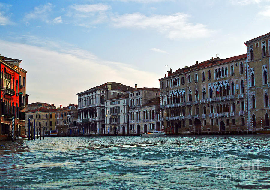 Nature Photograph - Portrait of Venice by Elvis Vaughn
