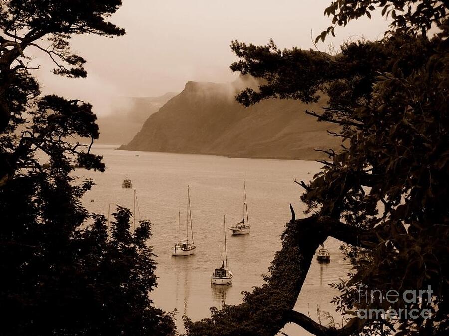 Portree in Sepia Photograph by Joan-Violet Stretch