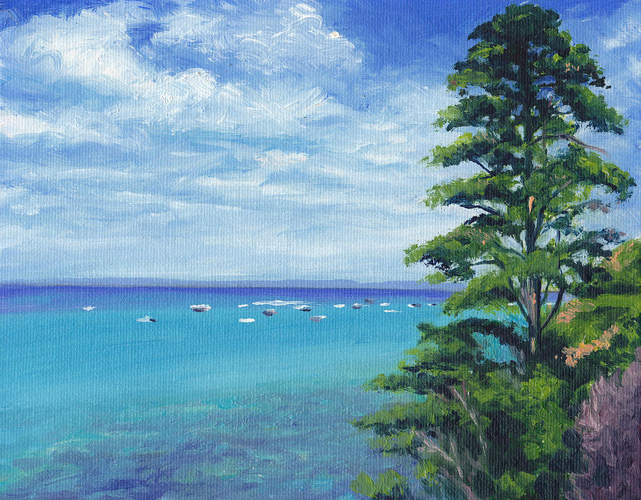 Portsea Pine Tree overlooking Port Phillip Painting by Dai Wynn