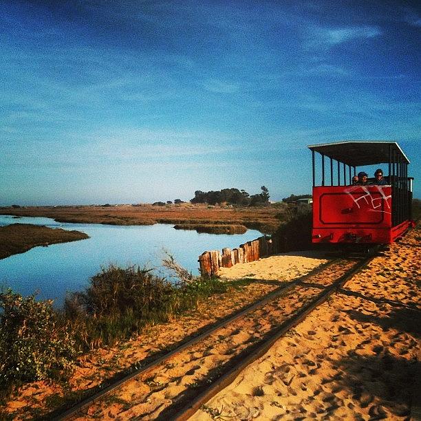 Portugal. A Train Through The Marshes Photograph by Jenny Pogson
