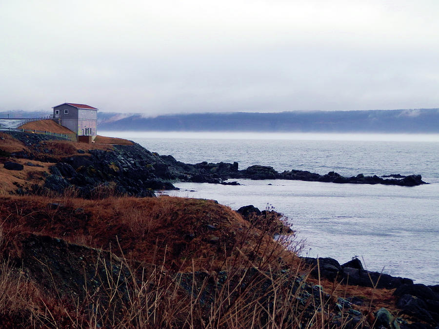 Portugal Cove Photograph by Zinvolle Art