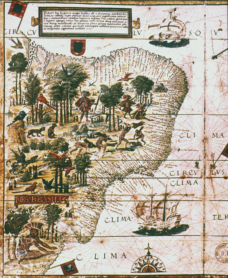 Portuguese Map Of Brazil Painting by Granger