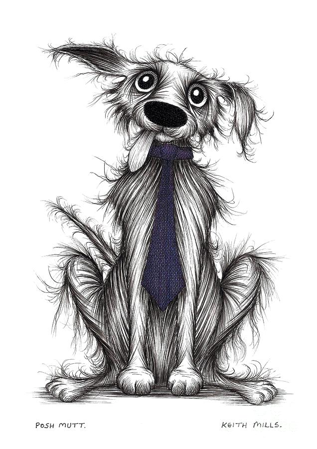 Posh mutt Drawing by Keith Mills