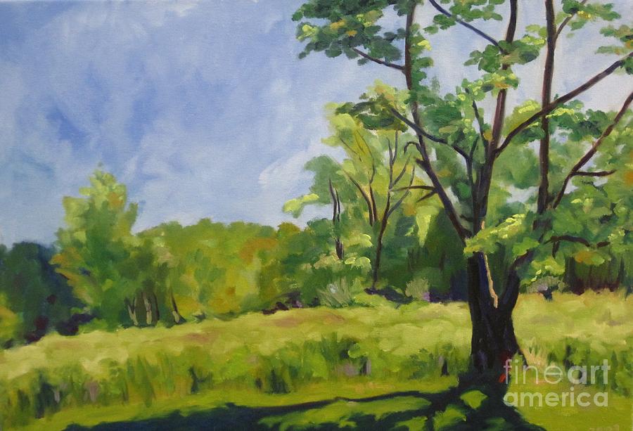 Possum Creek Park by Katrina West Possum Creek Park by Katrina West