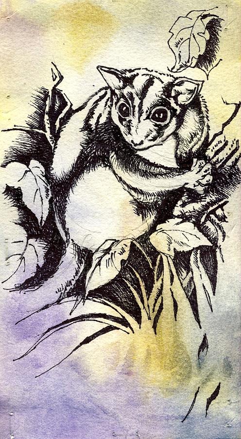 Possum Drawing Painting by Alfred Ng
