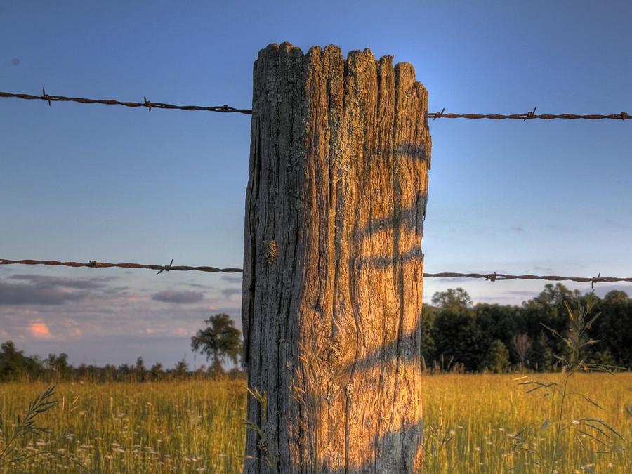 Post and Barb Wire Photograph by Larry Capra