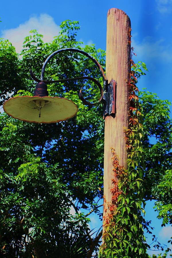 Post And Lamp Photograph