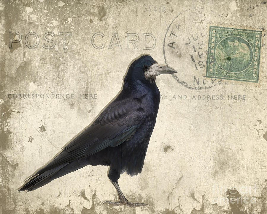 Post Card Nevermore Photograph by Edward Fielding
