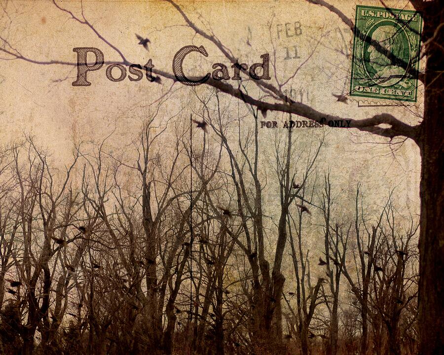 Postal Birds Digital Art by Gothicrow Images - Pixels