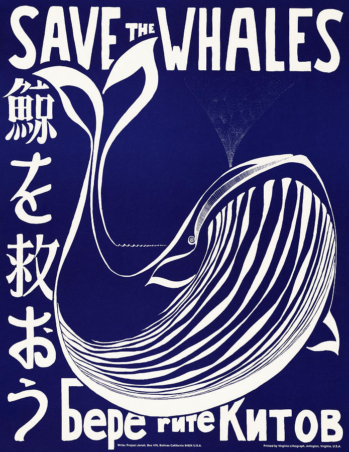 Save The Whales Poster  Drawing by Granger