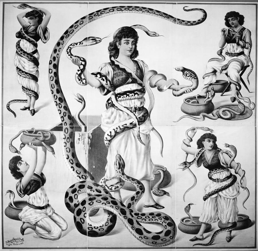 Snake Charmer, illustration, png | PNGWing