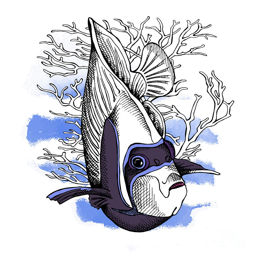 Beauty Digital Art - Poster With Image Of Fish Emperor by Afishka Beauty Digital Art - Poster With Image Of Fish Emperor by Afishka